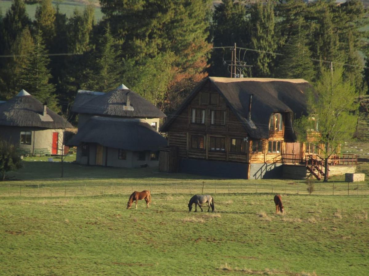 Khotso Lodge & Horse Trails Underberg Eksteriør billede