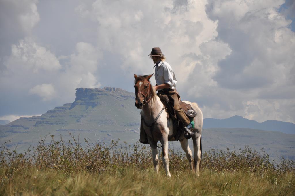 Khotso Lodge & Horse Trails Underberg Eksteriør billede