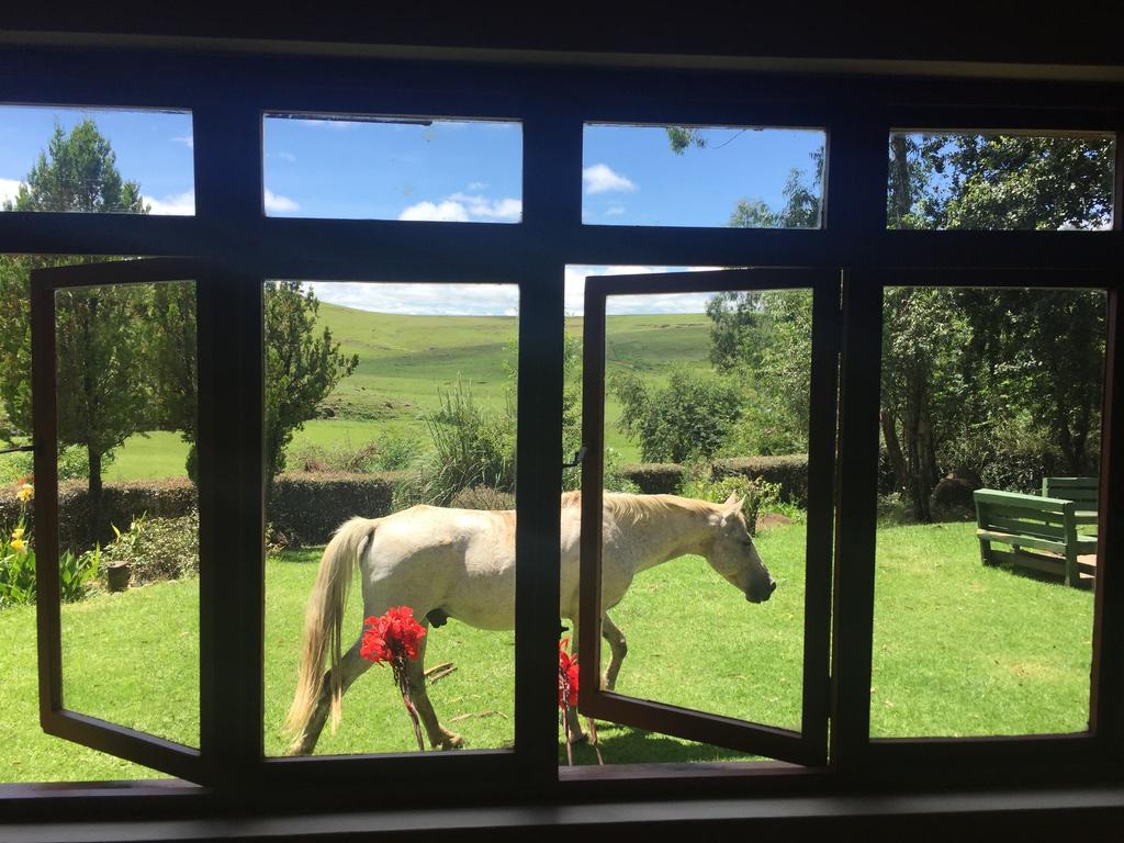 Khotso Lodge & Horse Trails Underberg Eksteriør billede