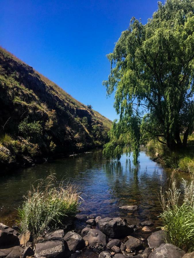 Khotso Lodge & Horse Trails Underberg Eksteriør billede