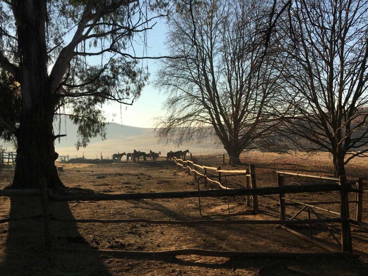 Khotso Lodge & Horse Trails Underberg Eksteriør billede