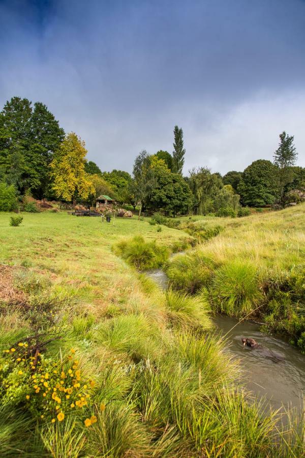 Khotso Lodge & Horse Trails Underberg Eksteriør billede